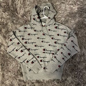 Champion hoodie